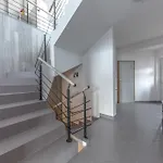 Hamrska * Velké Hamry